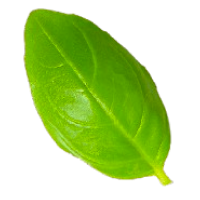 leaf green